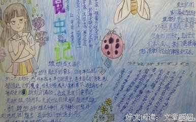 《文凭社会》读后感100字