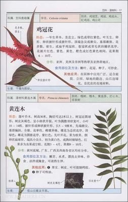 蔬菜教室（春夏篇）读后感精选