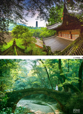 汉化佛教与佛寺读后感锦集
