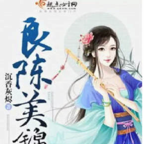 良陈美锦读后感100字