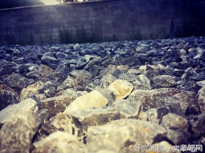 《我保佑不了你》读后感精选