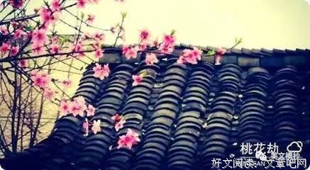 姹紫嫣红的语句摘抄_关于姹紫嫣红的语句
