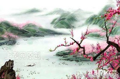 诗经读后感100字