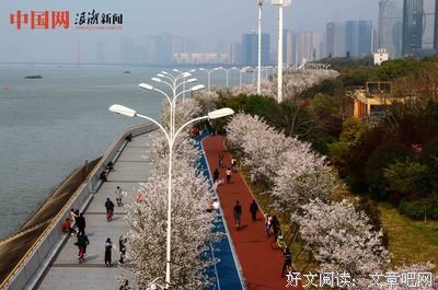 《红跑道》影评摘抄