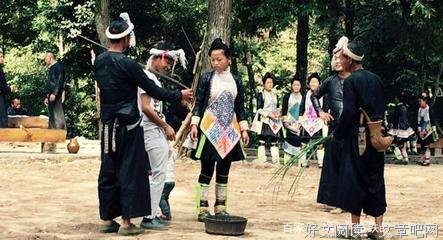 《滚拉拉的枪》观后感精选