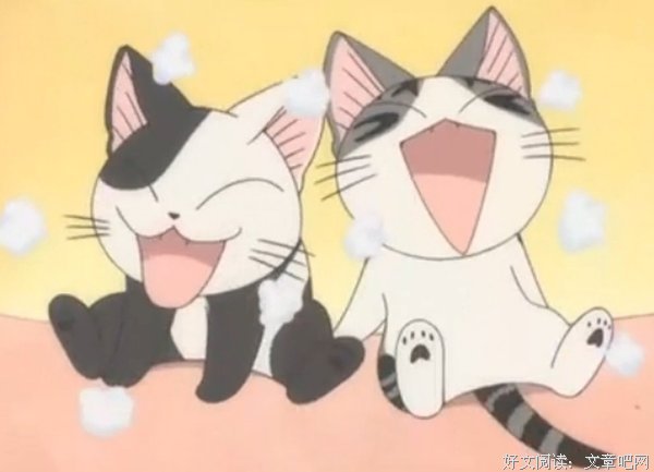 《甜甜私房猫》影评精选