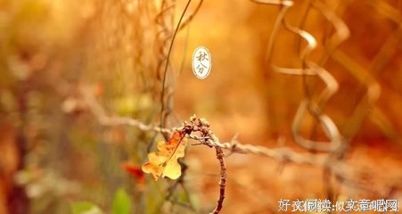 子优美的句子