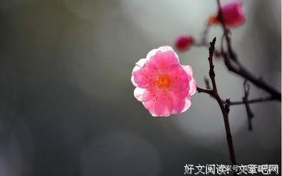 《墨忘》的句子