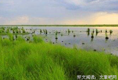never unable to get up after a fall的优美句子