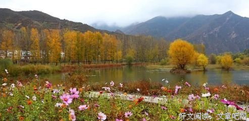 菇凉看并失变狠狠幸福经典名句
