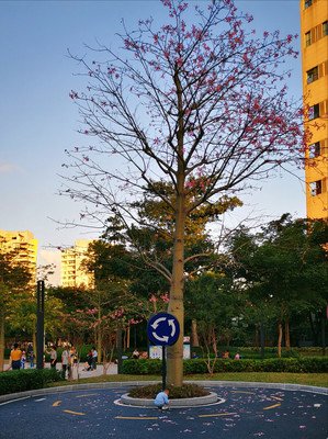 关于信海拾花的句子