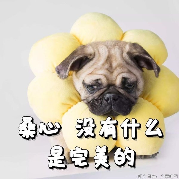 有点好可看能于意思的优美句子