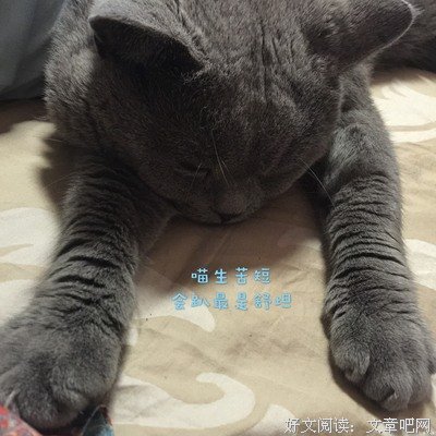 知心语