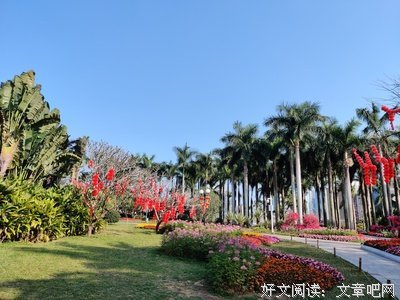 《情义知多少》的观后感大全