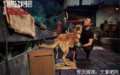 《让我来给你收尸》的观后感大全