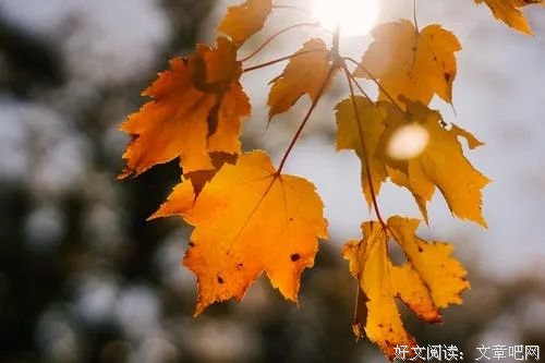 顺其自然（读完受益终生！）