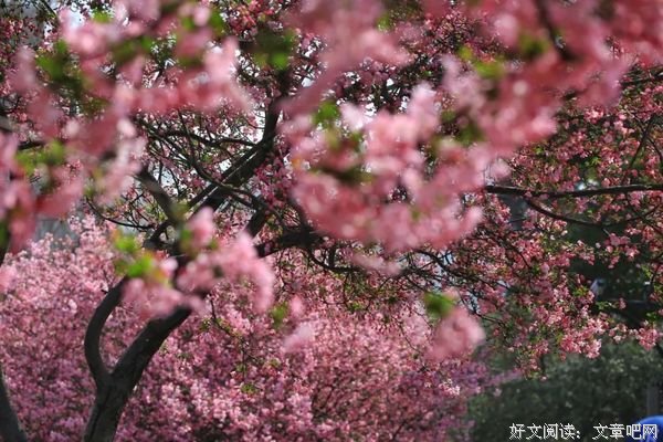 生活平静是一种福气
