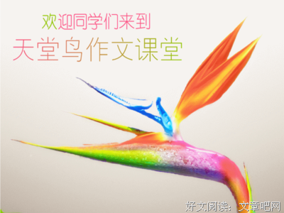 《接近真相的贝弗莉》经典读后感有感