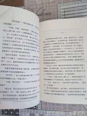 《至高忠诚》读后感100字