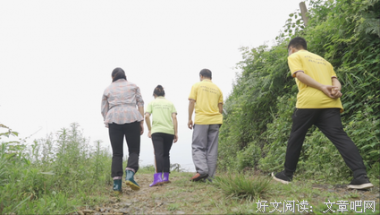 《单身女性的时代》读后感1000字