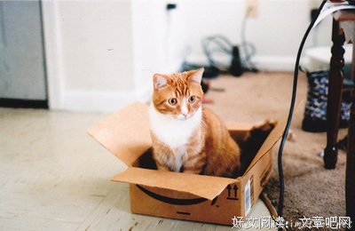 15条关于日积月累的经典语句