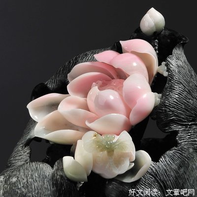 《传说中的故乡》观后感摘抄