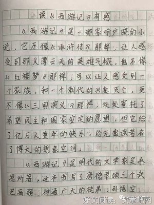 《风流南宋》的读后感大全