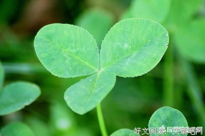 关于自强不息的名句摘抄