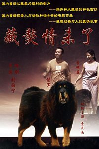 《藏獒情未了》经典影评有感