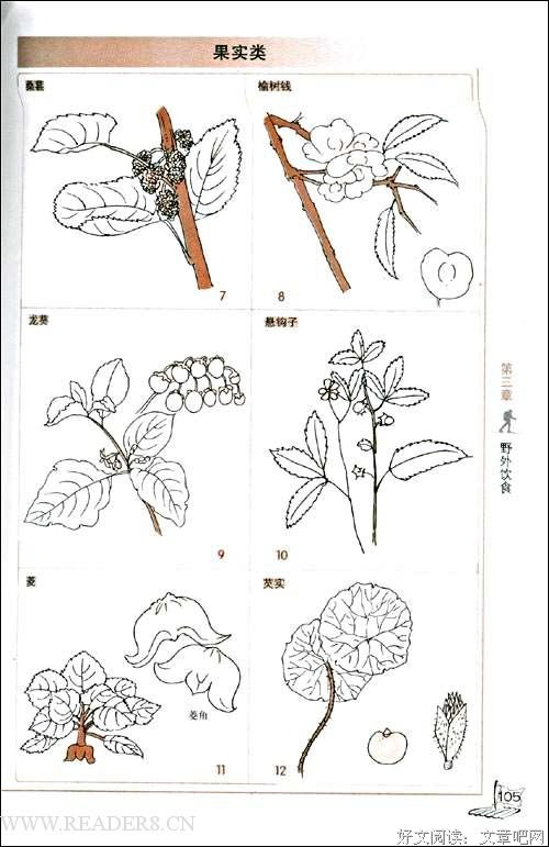 你的生存本能正在杀死你（修订版）读后感100字