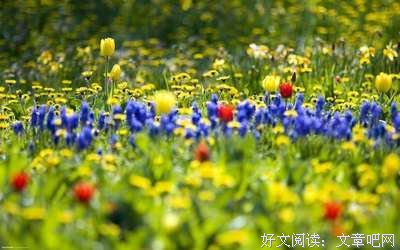 文艺的优美句子