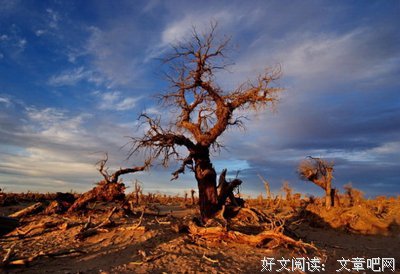 伤痛经典名句