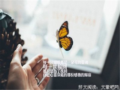 《致青春》的句子