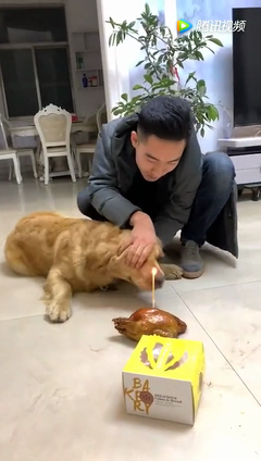 《还大以笙箫默》电影经典的句子