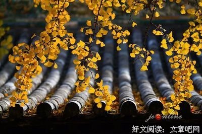 许冬林的格言