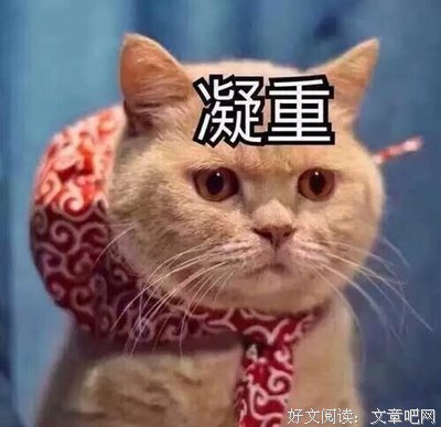 最新的《画骨香》经典语句大全