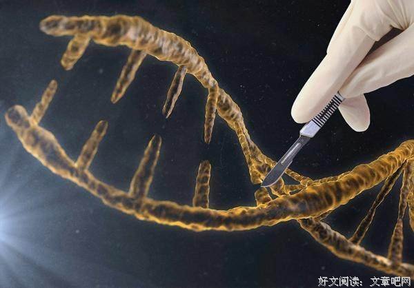 孟德尔妖读后感锦集