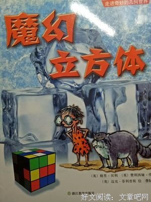 《《影响孩子一生的魔幻数学》》读后感精选