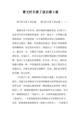 天黑得很慢读后感锦集