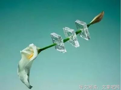 描写如梦初醒的语句摘抄