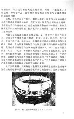 捡来的瓷器史读后感100字