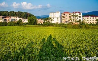 《自然，万物最美的姿态》的读后感大全