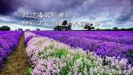 描写不慌不忙的经典句子