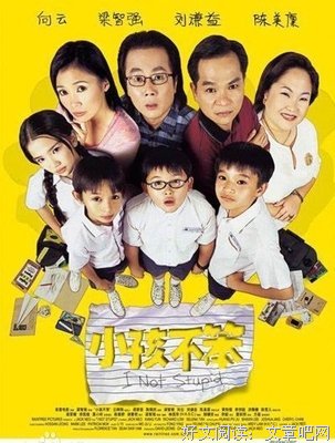 《小孩不笨》经典观后感1000字