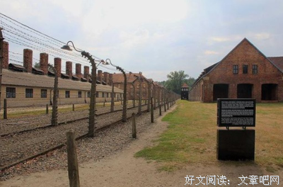 《逃离奥斯维辛》经典读后感有感