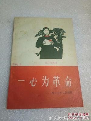 《秘密日记》影评摘抄