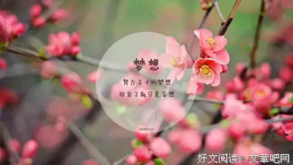 ☆黑暗中的明灯♫的优美句子