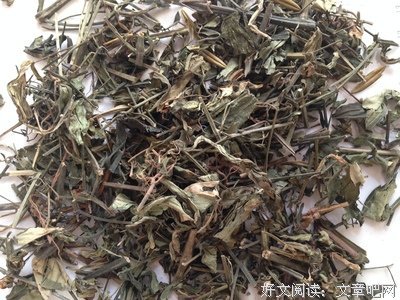 最新的《穿心莲》佳句摘抄大全