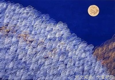 最全的《笑面人》好段摘抄