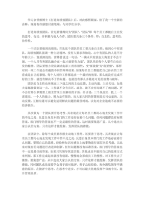 多样性团队读后感锦集
